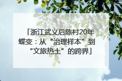 浙江武义后陈村20年蝶变：从“治理样本”到“文旅热土”的跨界