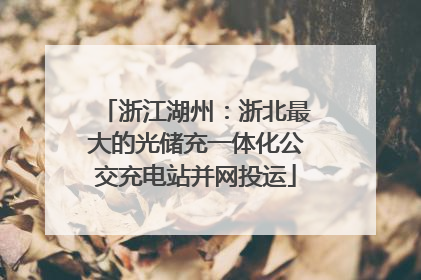 浙江湖州：浙北最大的光储充一体化公交充电站并网投运