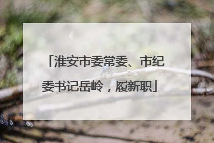 淮安市委常委、市纪委书记岳岭，履新职