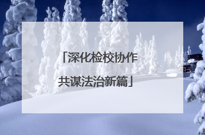 深化检校协作 共谋法治新篇