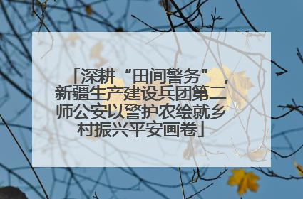 深耕“田间警务”，新疆生产建设兵团第二师公安以警护农绘就乡村振兴平安画卷