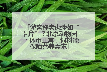 游客称老虎瘦如“卡片”？北京动物园：体重正常，饲料能保障营养需求