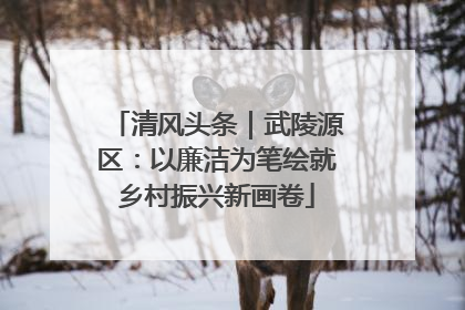 清风头条｜武陵源区：以廉洁为笔绘就乡村振兴新画卷