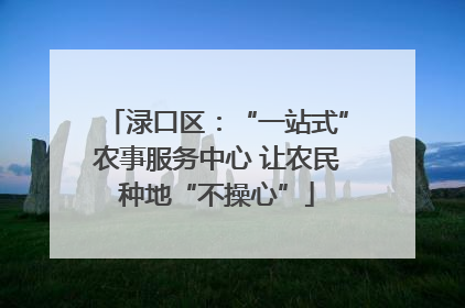 渌口区：“一站式”农事服务中心 让农民种地“不操心”