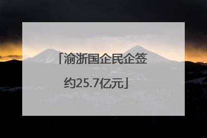 渝浙国企民企签约25.7亿元