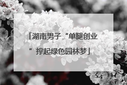 湖南男子“单腿创业”撑起绿色园林梦