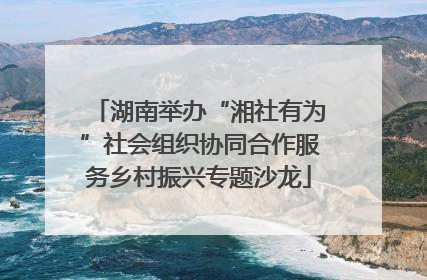 湖南举办“湘社有为”社会组织协同合作服务乡村振兴专题沙龙