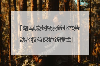 湖南城步探索新业态劳动者权益保护新模式