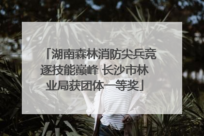 湖南森林消防尖兵竞逐技能巅峰 长沙市林业局获团体一等奖