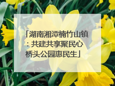 湖南湘潭楠竹山镇：共建共享聚民心 桥头公园惠民生