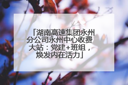 湖南高速集团永州分公司永州中心收费大站：党建+班组，焕发内在活力