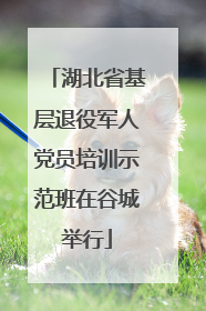 湖北省基层退役军人党员培训示范班在谷城举行