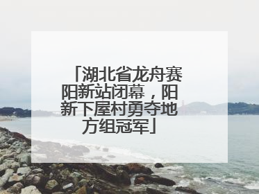 湖北省龙舟赛阳新站闭幕，阳新下屋村勇夺地方组冠军