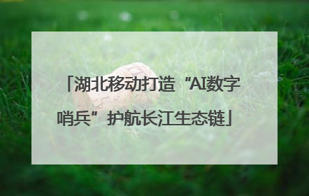湖北移动打造“AI数字哨兵”护航长江生态链