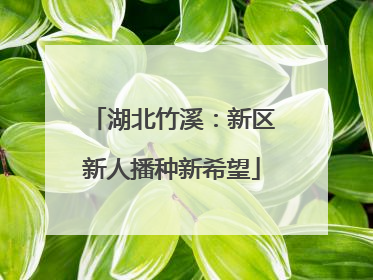 湖北竹溪：新区新人播种新希望