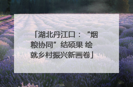 湖北丹江口：“烟粮协同”结硕果 绘就乡村振兴新画卷