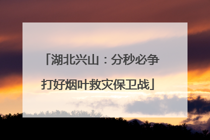 湖北兴山：分秒必争 打好烟叶救灾保卫战
