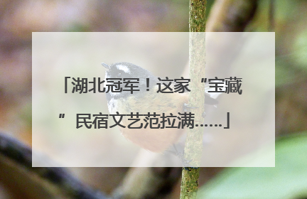 湖北冠军！这家“宝藏”民宿文艺范拉满……