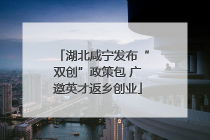 湖北咸宁发布“双创”政策包 广邀英才返乡创业