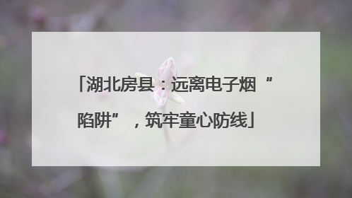 湖北房县：远离电子烟“陷阱”，筑牢童心防线