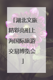 湖北文旅精彩亮相上海国际旅游交易博览会