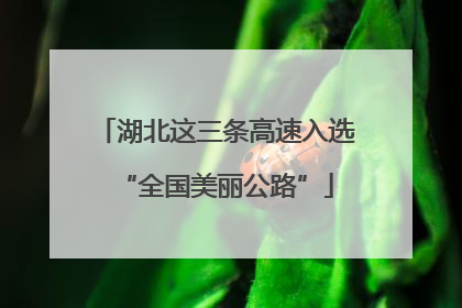 湖北这三条高速入选“全国美丽公路”