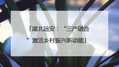 湖北远安：“三产融合”激活乡村振兴新动能