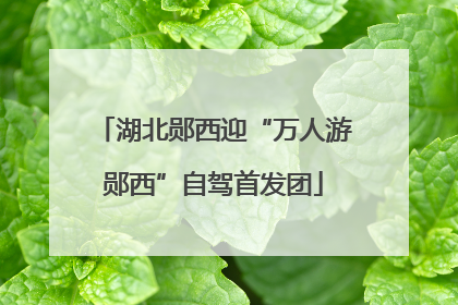 湖北郧西迎“万人游郧西”自驾首发团