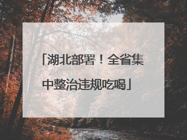 湖北部署！全省集中整治违规吃喝