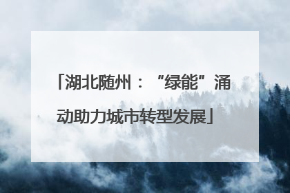 湖北随州：“绿能”涌动助力城市转型发展