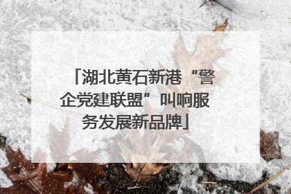 湖北黄石新港“警企党建联盟”叫响服务发展新品牌