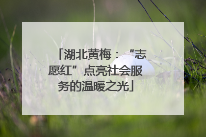 湖北黄梅：“志愿红”点亮社会服务的温暖之光