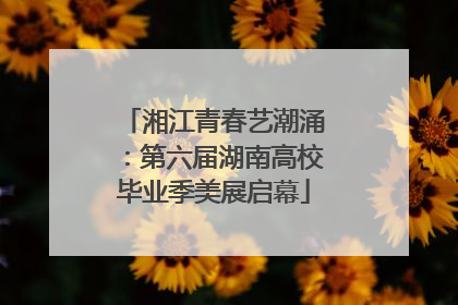 湘江青春艺潮涌：第六届湖南高校毕业季美展启幕