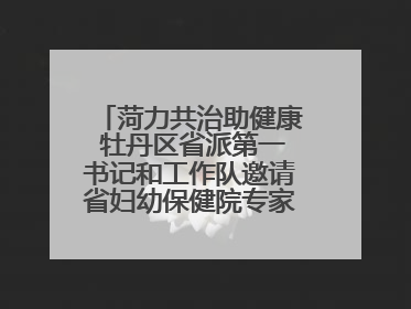 菏力共治助健康 牡丹区省派第一书记和工作队邀请省妇幼保健院专家开展义诊活动
