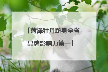 菏泽牡丹跻身全省品牌影响力第一