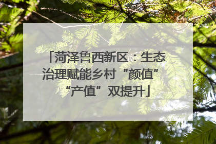 菏泽鲁西新区：生态治理赋能乡村“颜值”“产值”双提升