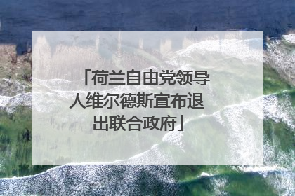 荷兰自由党领导人维尔德斯宣布退出联合政府