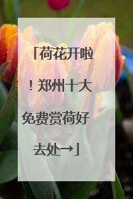 荷花开啦！郑州十大免费赏荷好去处→