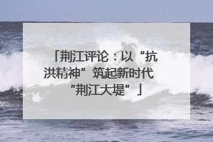 荆江评论：以“抗洪精神”筑起新时代“荆江大堤”