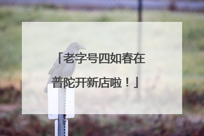 老字号四如春在普陀开新店啦！
