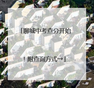 聊城中考查分开始！附查询方式→