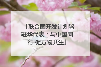 联合国开发计划署驻华代表：与中国同行 促万物共生