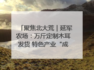 聚焦北大荒｜延军农场：万斤定制木耳发货 特色产业“成绩单”亮眼