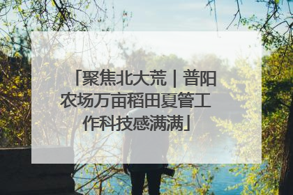 聚焦北大荒｜普阳农场万亩稻田夏管工作科技感满满