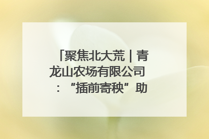聚焦北大荒｜青龙山农场有限公司：“插前寄秧”助力农业节本增效