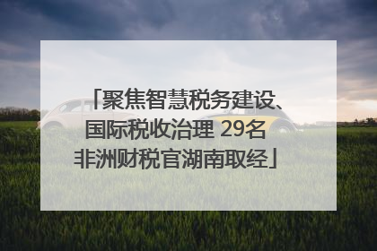 聚焦智慧税务建设、国际税收治理 29名非洲财税官湖南取经