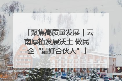 聚焦高质量发展｜云南厚植发展沃土 做民企“最好合伙人”