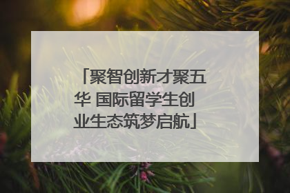 聚智创新才聚五华 国际留学生创业生态筑梦启航