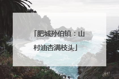 肥城孙伯镇：山村油杏满枝头
