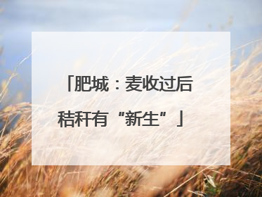 肥城：麦收过后秸秆有“新生”
